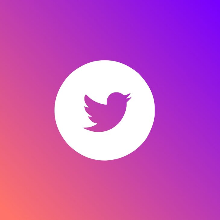 Twitter Logo Icon Bird Symbol  - SavageGraphics / Pixabay